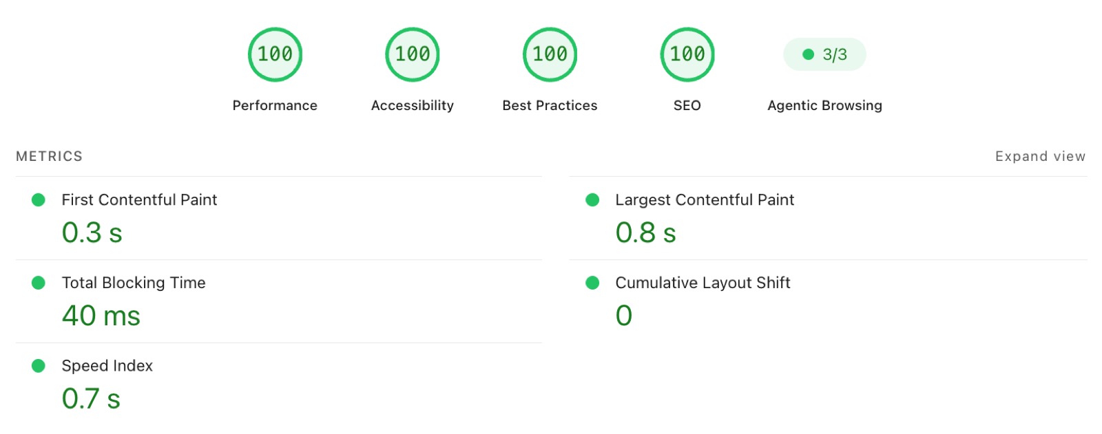 Google PageSpeed Insights desktop report after the rebuild: 100 for performance, accessibility, best practices and SEO, with largest contentful paint at 0.8 seconds